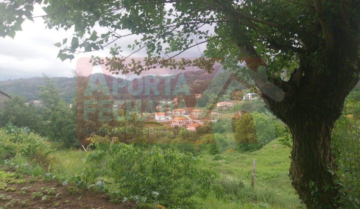 WhatsApp Image 2026-04-29 at 16.55.17