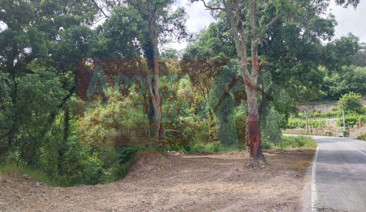 WhatsApp Image 2026-05-19 at 16.06.09 (1)